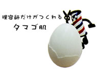 ���e�t�����������^�}�S��